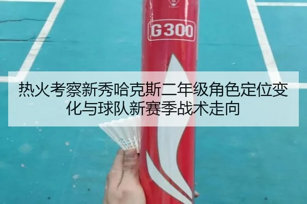 热火考察新秀哈克斯二年级角色定位变化与球队新赛季战术走向
